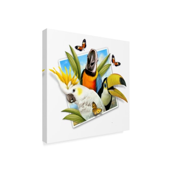 Howard Robinson 'Tropical Bird Photograph' Canvas Art,18x18